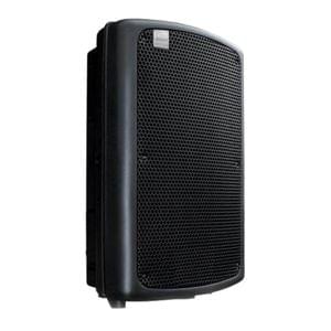 Ashton MAS10 10 Inch 200 Watt Passive Speaker